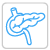 XI. Fibrosis Quística